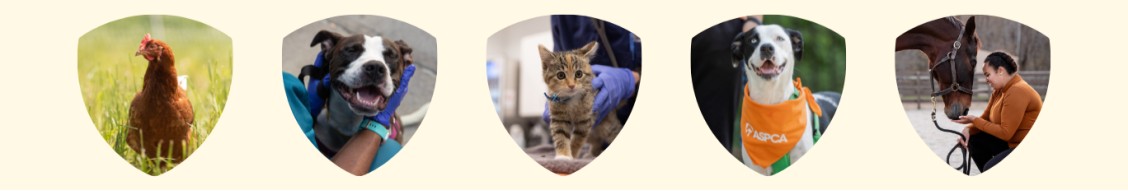 ASPCA cover image