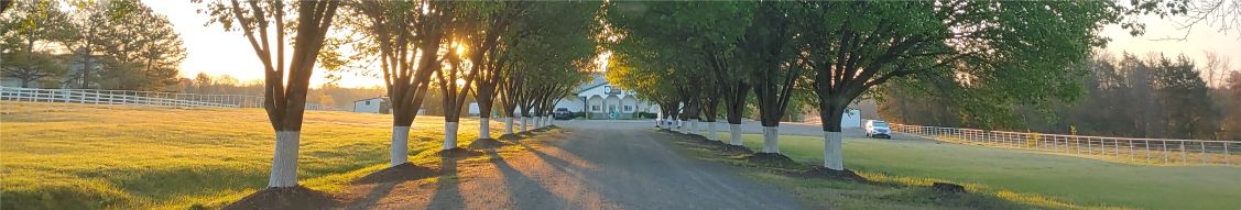 Davie County Large Animal Hospital cover image