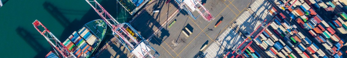 Long Beach Container Terminal (LBCT LLC) cover image