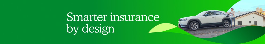 Goosehead Insurance cover image