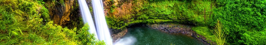 Lawelawe Management Group LLC cover image