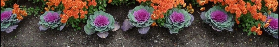Landscaping by J Michael cover image