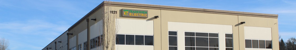 Tradesmen Electric Inc. cover image