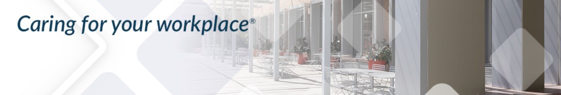 Haynes Building Service cover image