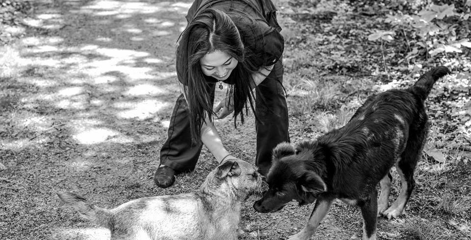 Mac Animal Clinic cover image