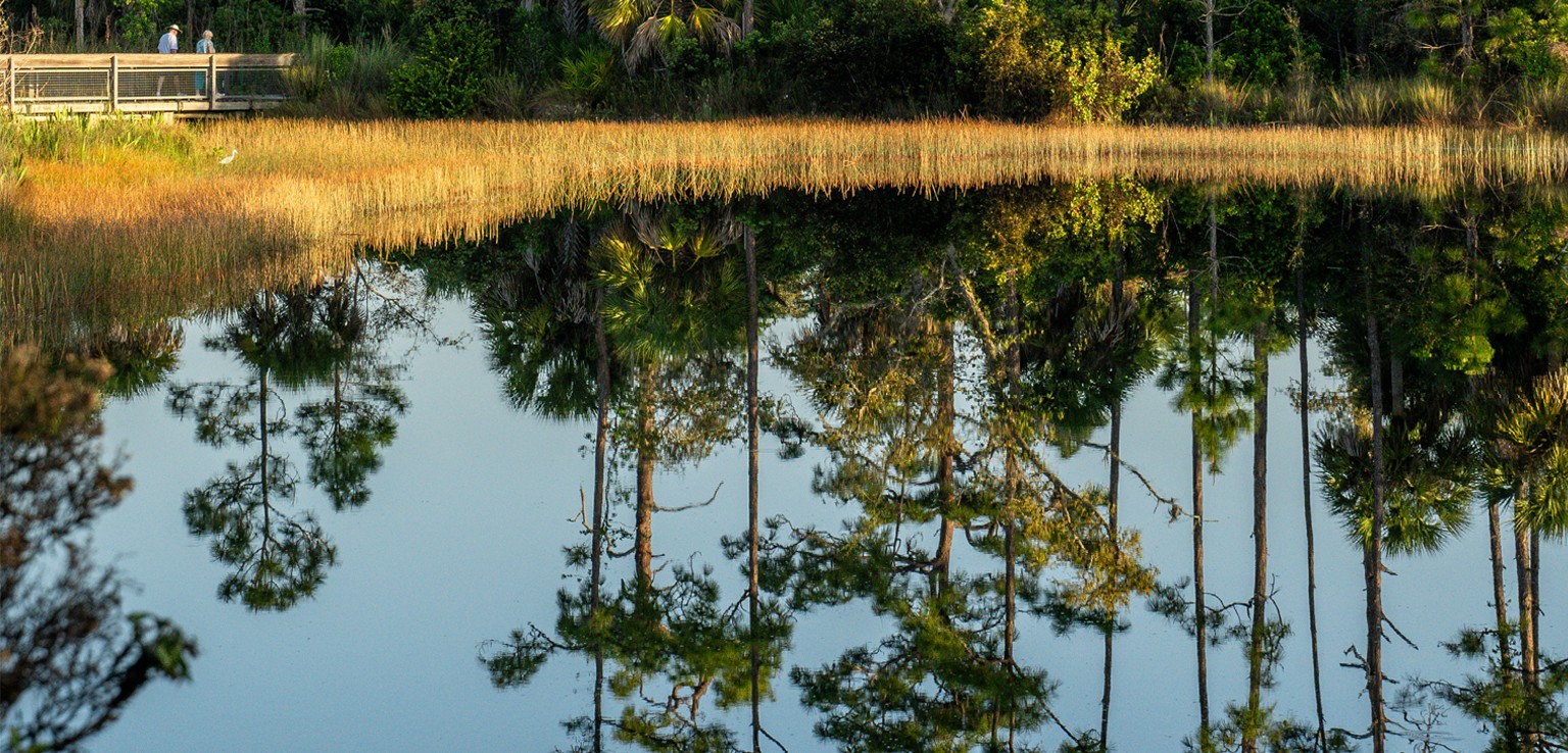 Naples Botanical Garden cover image