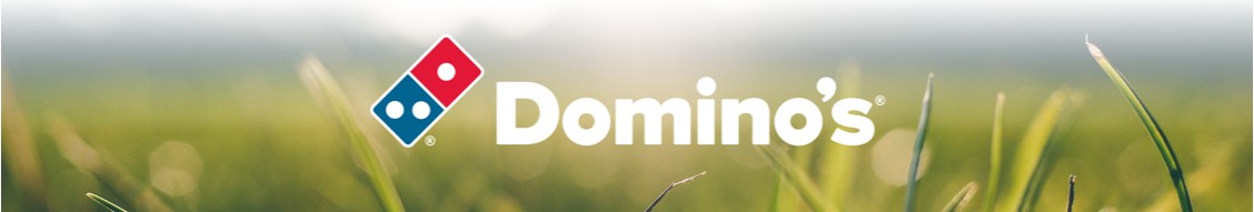 Domino's Pizza France cover image