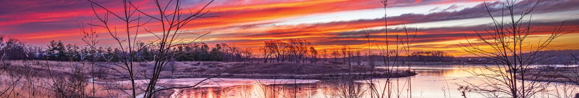 Lake County Forest Preserve District cover image