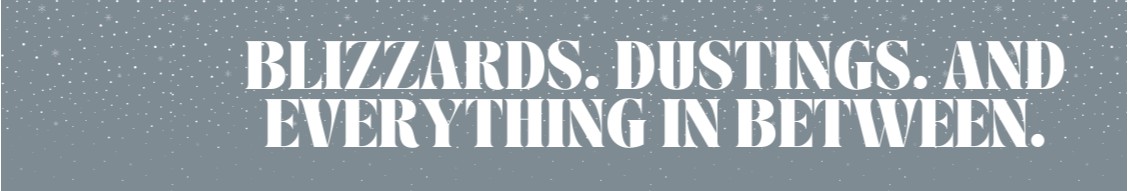 Winter Services, LLC cover image