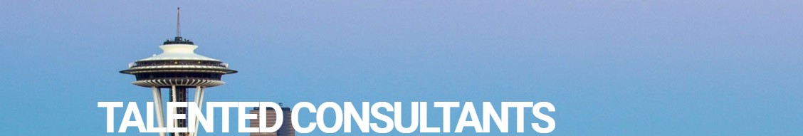 Inabia Solutions and Consulting, Inc. cover image