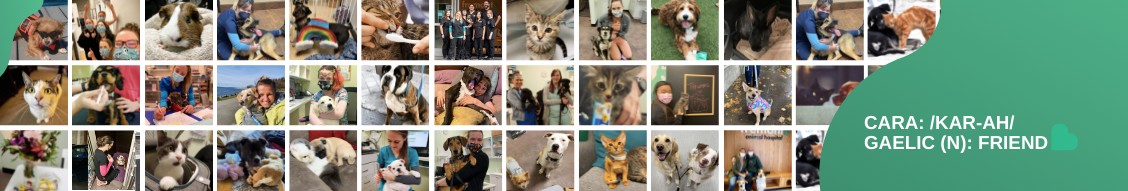 cara Veterinary cover image