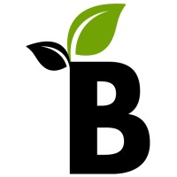 Bloom Talent Solutions logo