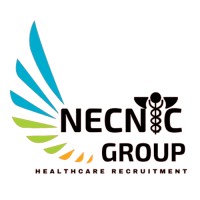 Necnic Group, LLC logo