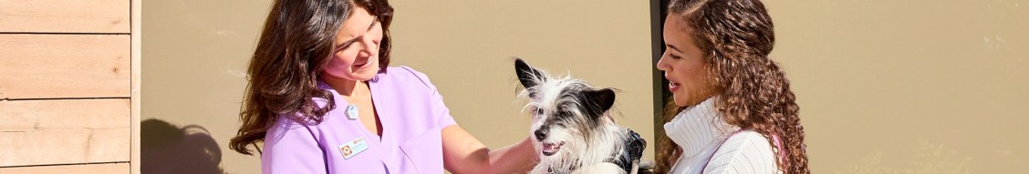 Wisconsin Department of Children and Families cover image