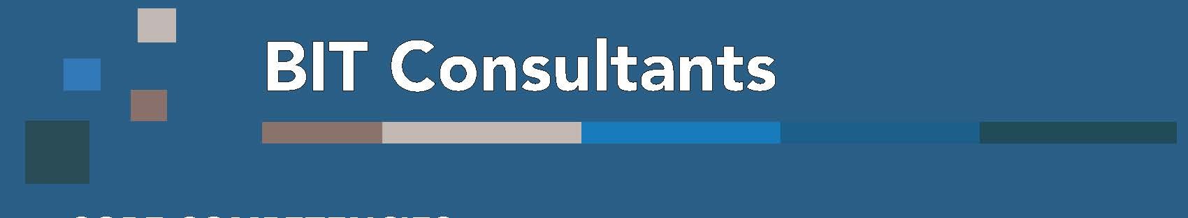 Bailey Information Technology Consultants, LLC cover image