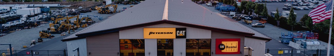 Peterson Cat cover image