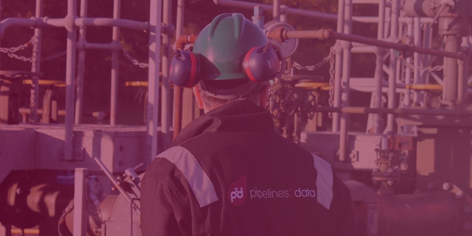 Pipelines 2 Data (P2D) Limited cover image