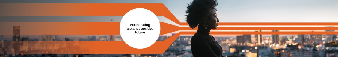 Arcadis cover image