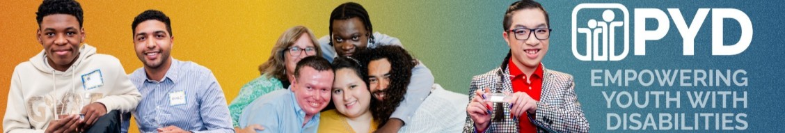 Partners for Youth with Disabilities cover image