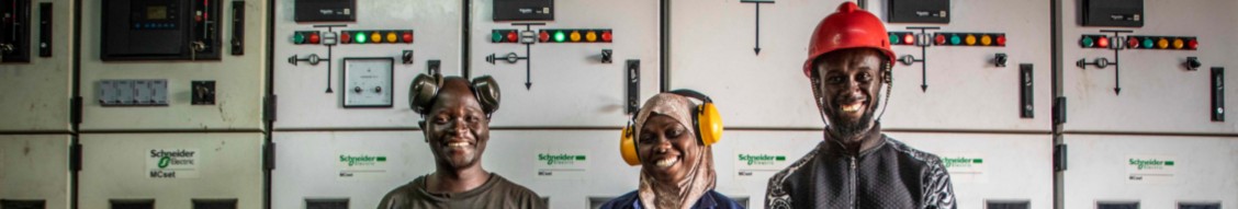 The World Bank Group cover image