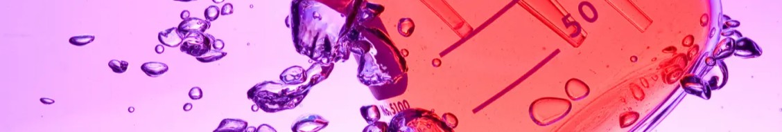 Witan Search cover image