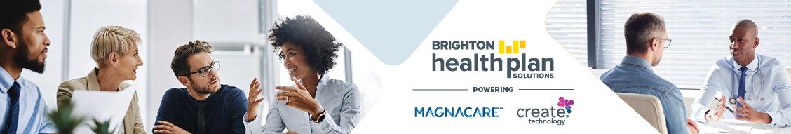 Brighton Health Plan Solutions cover image