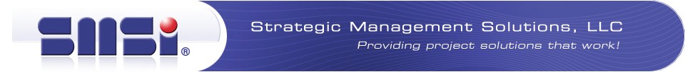 Strategic Management Solutions, LLC (SMSI) cover image