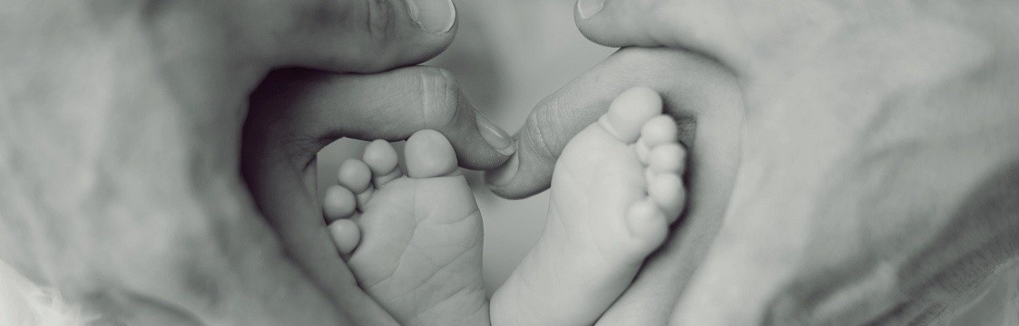 ROSENBERG MATERNAL-FETAL MEDICINE P.C. cover image