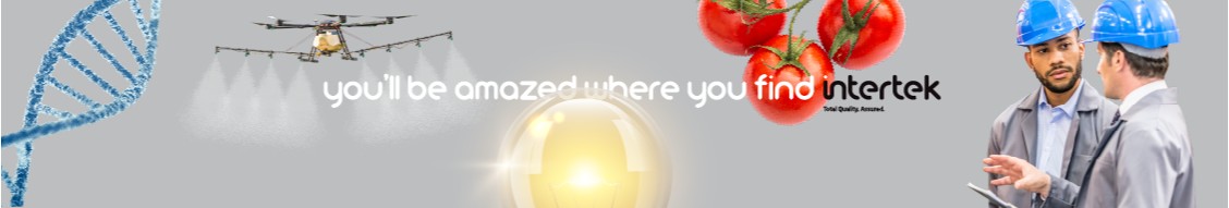 Intertek cover image