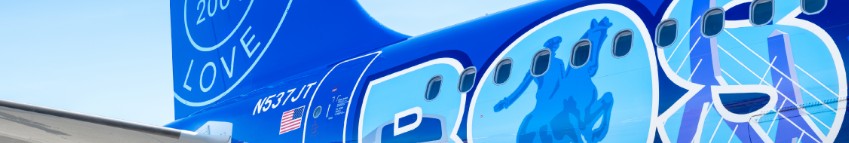 JetBlue cover image