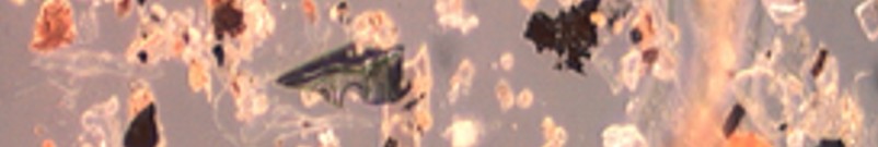 Liberty EnviroLab cover image