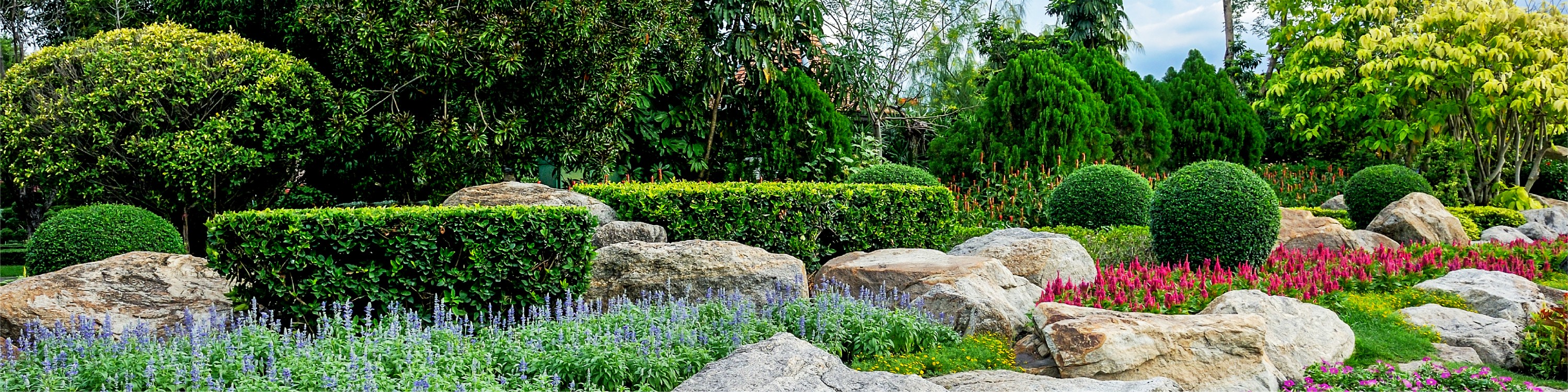 Southwest Boulder & Stone cover image