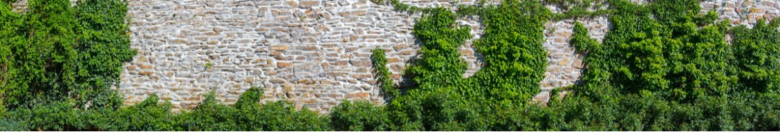 DM Estate Staffing cover image
