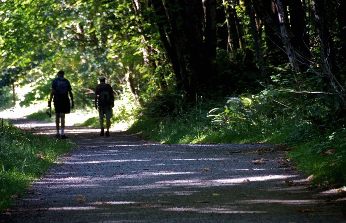 King County, WA cover image