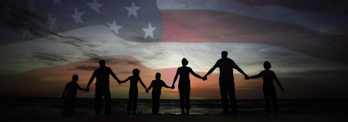 Federal Guardian cover image