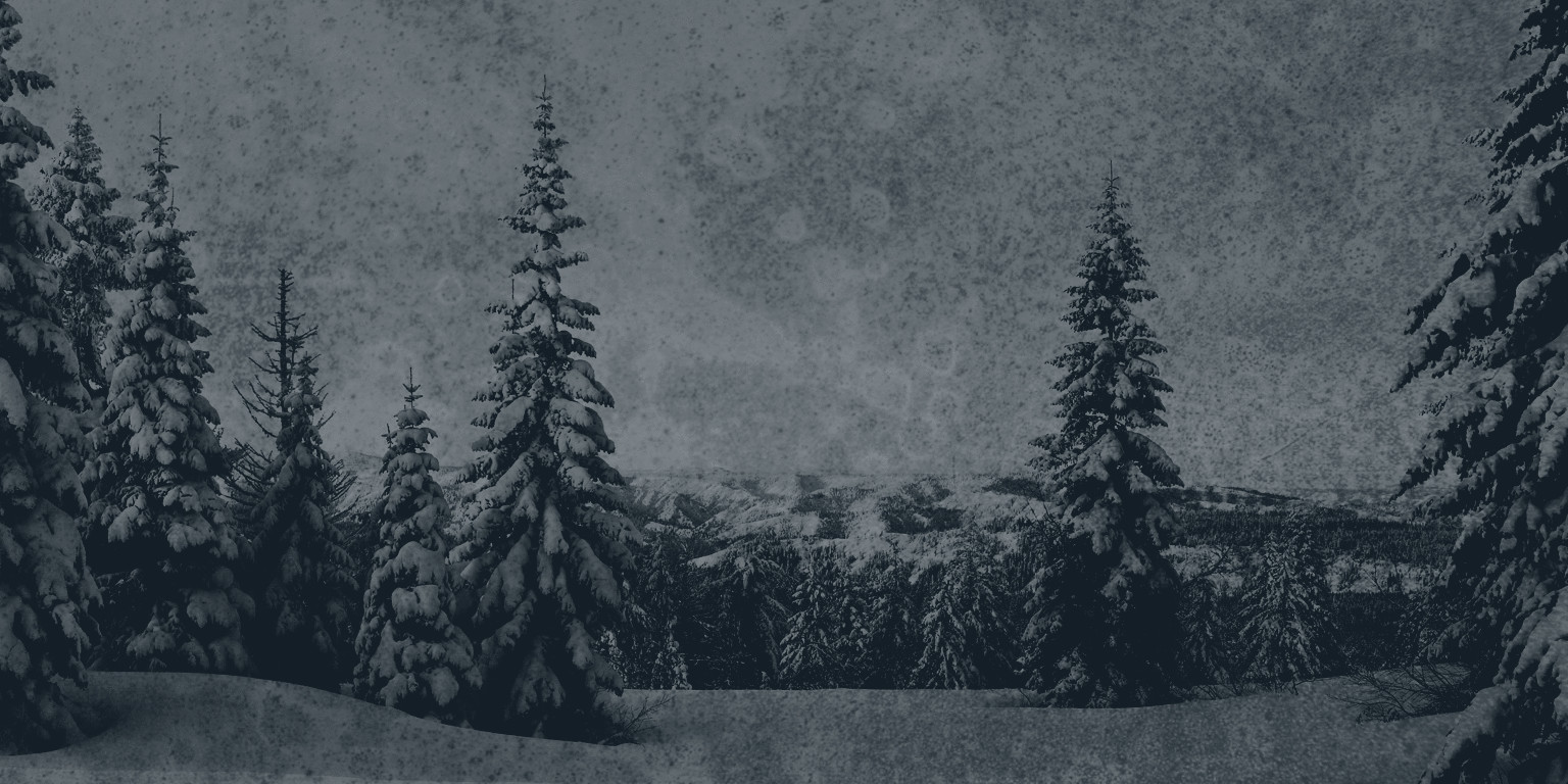 Mountain Capital Partners cover image