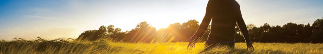 Chestnut Health Systems cover image