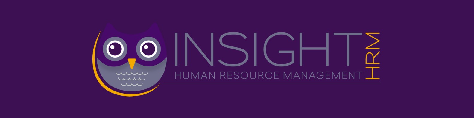 Insight HRM, LLC cover image