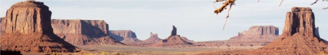 Navajo County cover image