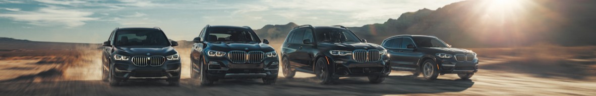 New Country Motor Car Group cover image