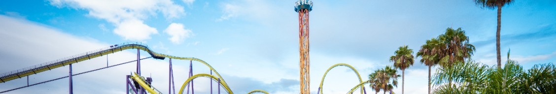 Six Flags Discovery Kingdom cover image