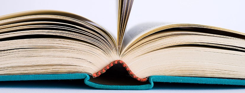 ThriftBooks cover image