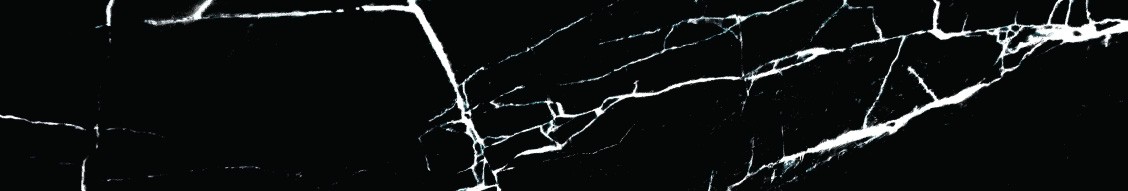 Charles Penzone, Inc. cover image